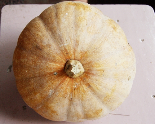 Pumpkin 